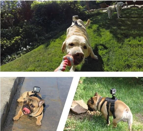 Dog Harness for Gopro, with 2 Mouting Base,Soft Adjustable for Small Medium and Large Dogs for Gopro 12 11 10 9 8 7 6 5 4 3, for DJI Osmo Pocket Camera and Insta360