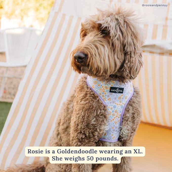 Lucy & Co. Cute Reversible Dog Harness Walking Halter - Best Designer Pet Harnesses for XS - XL Dogs - Padded Adjustable Vest for Easy Walking (X-Large, Among The Wildflowers - Purple Floral)