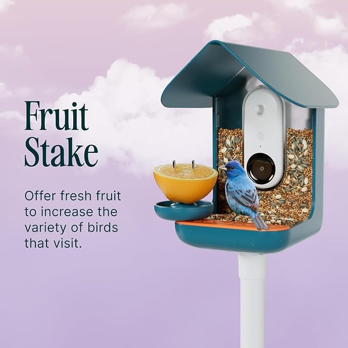 Birdbuddy 3-in-1 Nutrition Set - Outdoor Bird Accessories with Water Fountain, Fruit Spike & Jelly Tray Feeder - Durable, Easy Attachment for Bird House (Pack of 2)