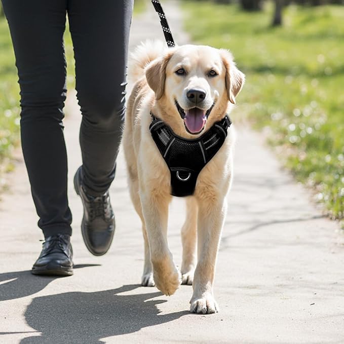 BARKBAY No Pull Dog Harness Large Reflective Dog Harness with Front Clip and Easy Control Handle for Walking Training Running with ID tag Pocket(Black,L)