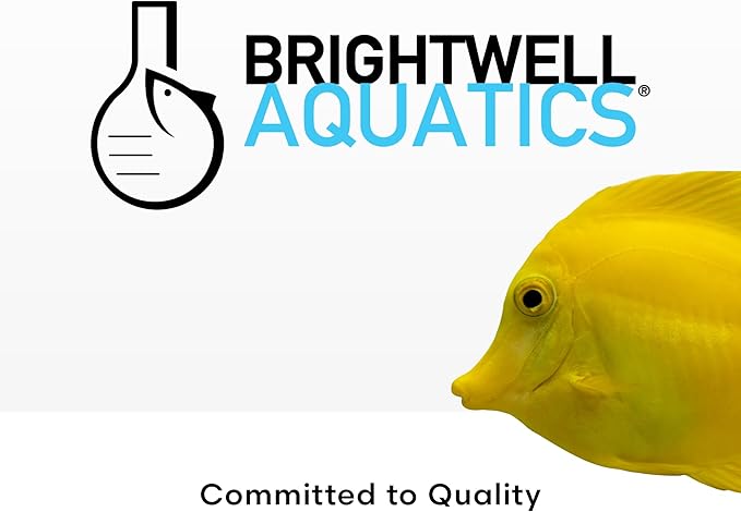 Brightwell Aquatics MicroBacter Start XLM - Concentrated Saltwater Nitrifying Bacteria - Quick Start Fish Tank Starter, Lift Microbe Levels & Water Filtering - Marine Aquarium Treatments, 8.45 fl oz