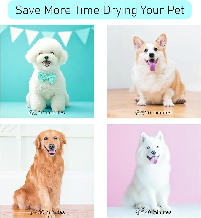 Dog Dryer for Pet Grooming, High Velocity Pet Hair Dryer with Heater, Adjustable Speed, 3 Nozzles and a Comb, Pink