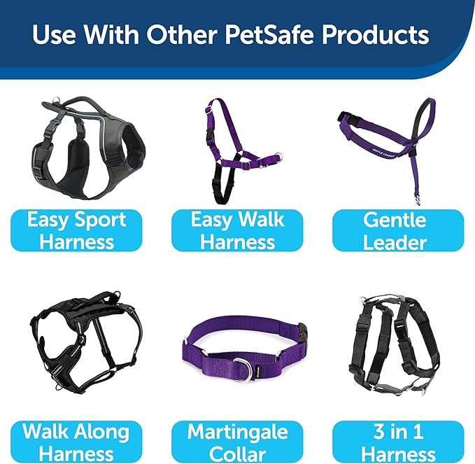 PetSafe Nylon Leash - Helps Maintain Secure Connection on Walks - Durable Pet Leash with Easy Clip - 1 in. x 6 ft. - Deep Purple