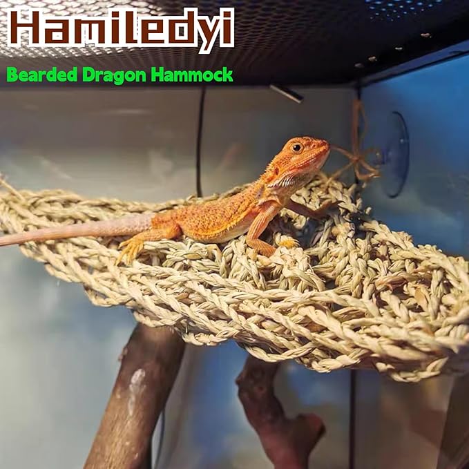 6PCS Bearded Dragon Hammock Lizard Natural Seagrass Hammock Reptile Jungle Climbing Vines and Leaves with Suction Cups Habitat Décor Tank Accessories for Hiding& Climbing Snake Gecko Bird Chameleon