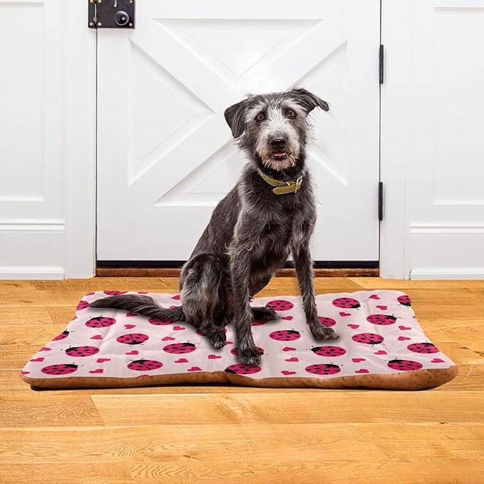Pet Bed Ladybug Hearts Dog Bed Mat Absorbing Non Slip Pad Pet Sleeping Mat for Small, Medium, and Large Dogs Puppy Cat 36 in x 24 in
