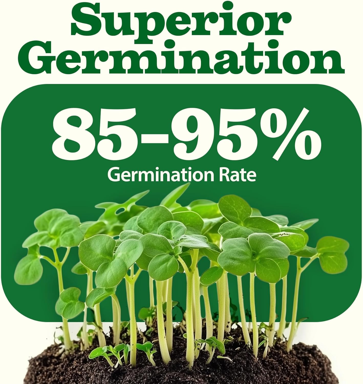 HOME GROWN π¨π¦π π£π₯ππ ππ¨π 55 Vegetable Seeds Pack 28,000+ Non-GMO Heirloom Seeds for Planting, Spring Fall Winter Garden Kit, Survival Seed Vault for Preppers & Gardeners, Gift for Men & Women