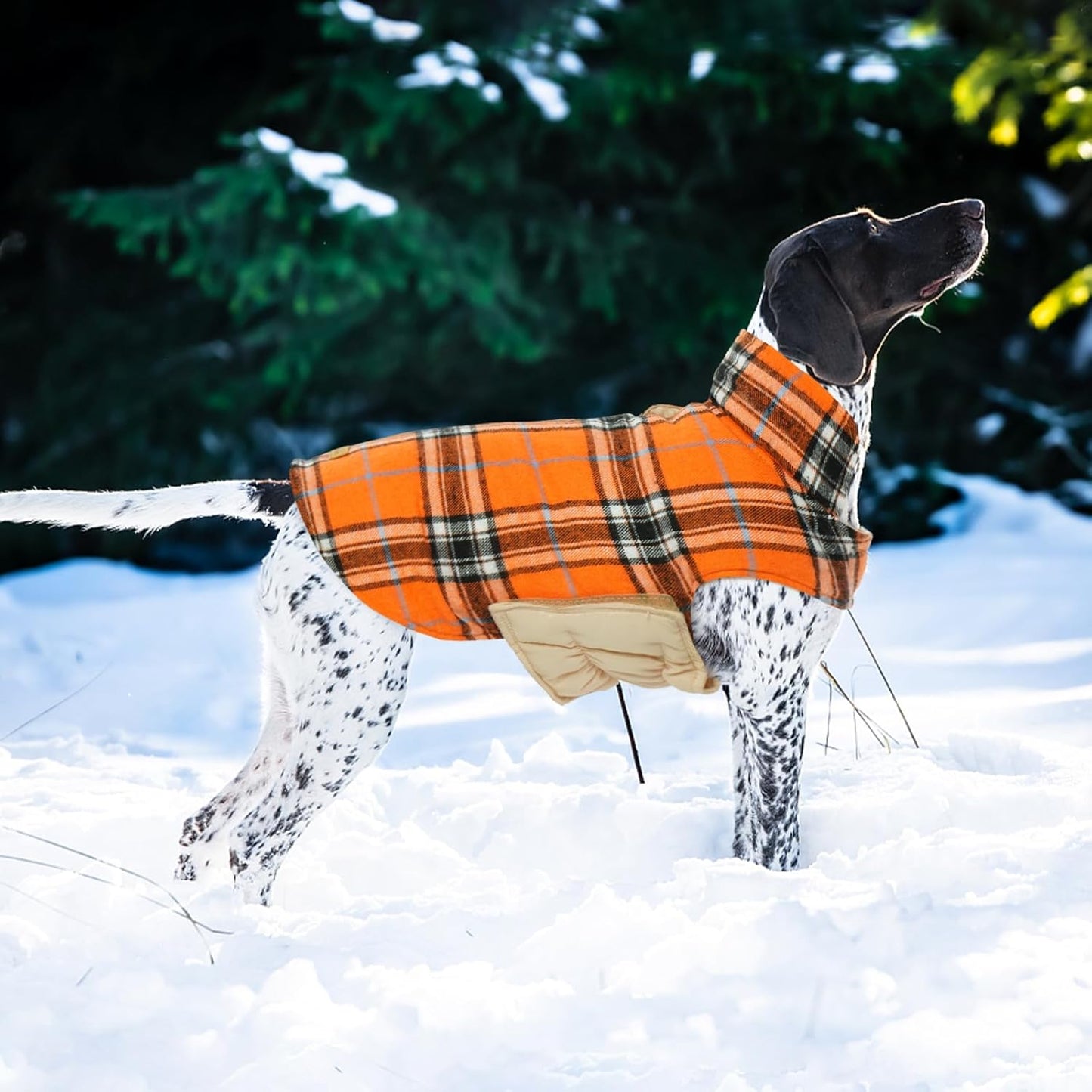 Kuoser Waterproof Dog Coat, Reversible Dog Jacket for Medium Dogs, Adjustable Durable Doggie Winter Coat Warm Puppy Cold Weather Apparel from Small to Large Breed, Orange M