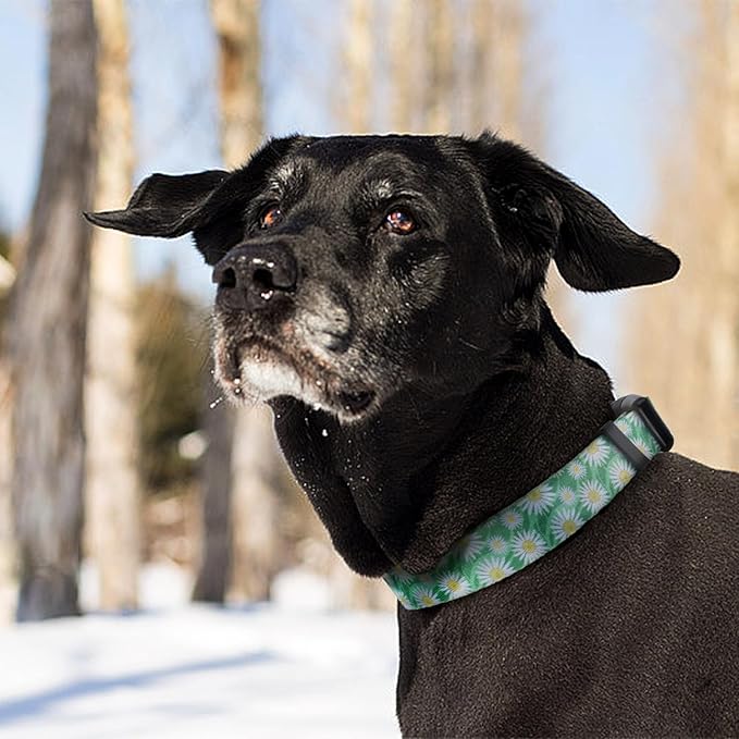 QQPETS Adjustable Soft Dog Collar: Print Flower Pink Multicolor Cute Patterns for XS Small Medium Large Pet Girl Boy Puppy Walking Running Training