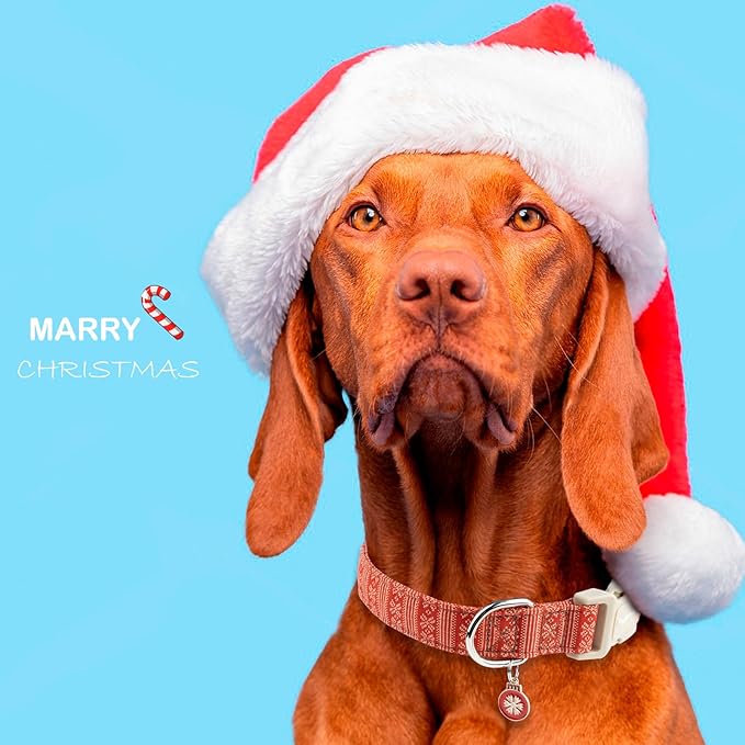Faygarsle Christmas Dog Collar, Red Nordic Pattern, Plastic Buckle with Metal D-Ring, Holiday Pet Accessory,for Small Medium Large Dogs S