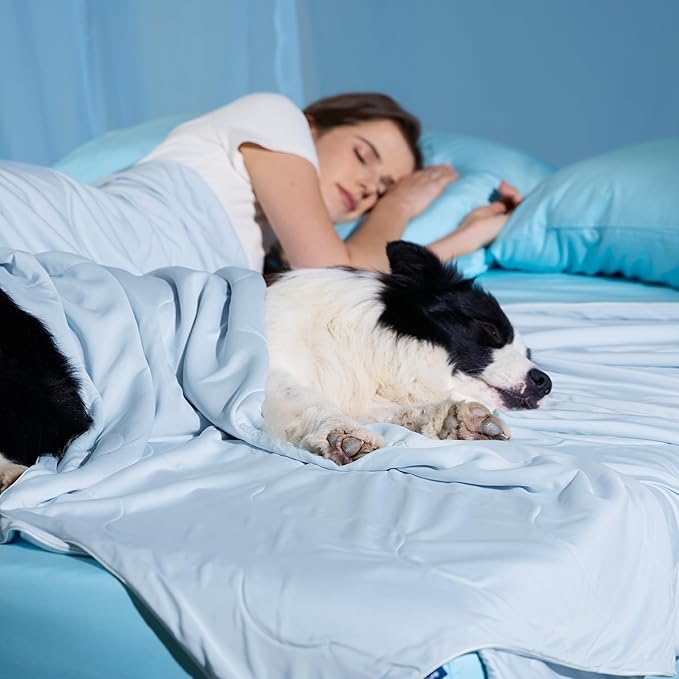 Bedsure Cooling Blanket for Bed with Breathable Air-Core Fill Q-MAX>0.4 - Lightweight Pet Cat Throw Cold Blanket Washable for Summer,Soft Dog Cooling Mat for Couch, Arctic Blue, 60x80