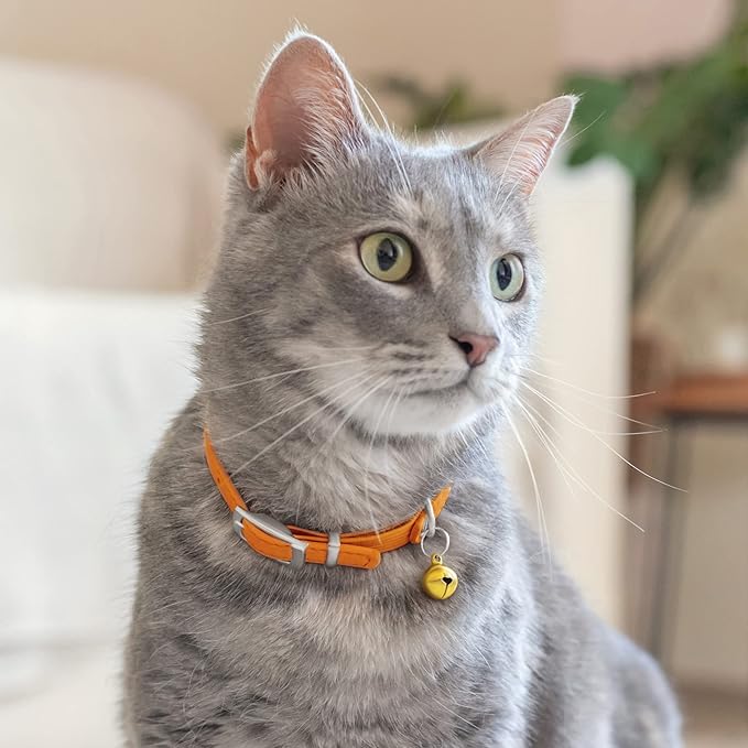 CollarDirect Leather Cat Collar with Bell - Kitten Collar, Small and Big Cat Strap for Boy Cats, Girl Cats with Safety Elastic Strap (Neck Fit 6"-7", Orange)