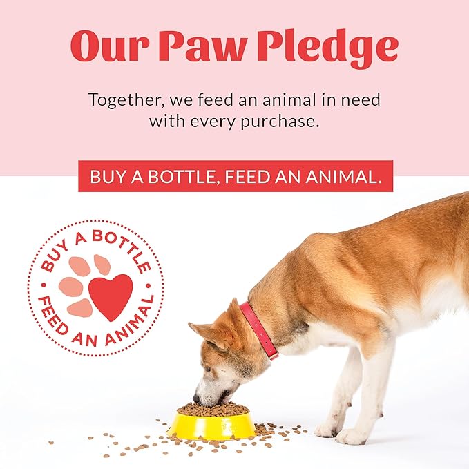 SKOUT'S HONOR Super Sour! Anti Chew Spray - Natural Ultra Bitter Formula to Help Deter that unwanted Chewing, Licking, and Biting - Safe for Pets - Safe for Indoor and Outdoor Use,16 oz