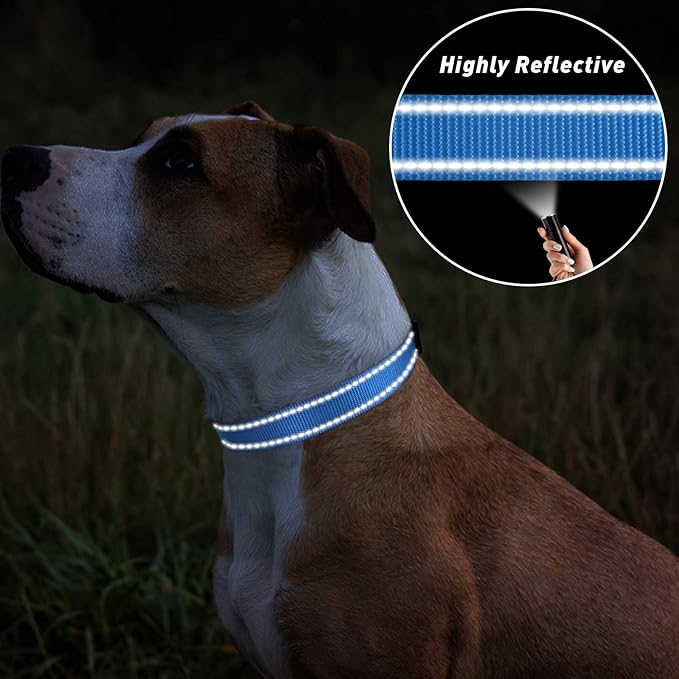 TagME Small Dog Collar, Adjustable Reflective Nylon Pet Collar with Quick Release Buckle, Sky Blue, 5/8" Width