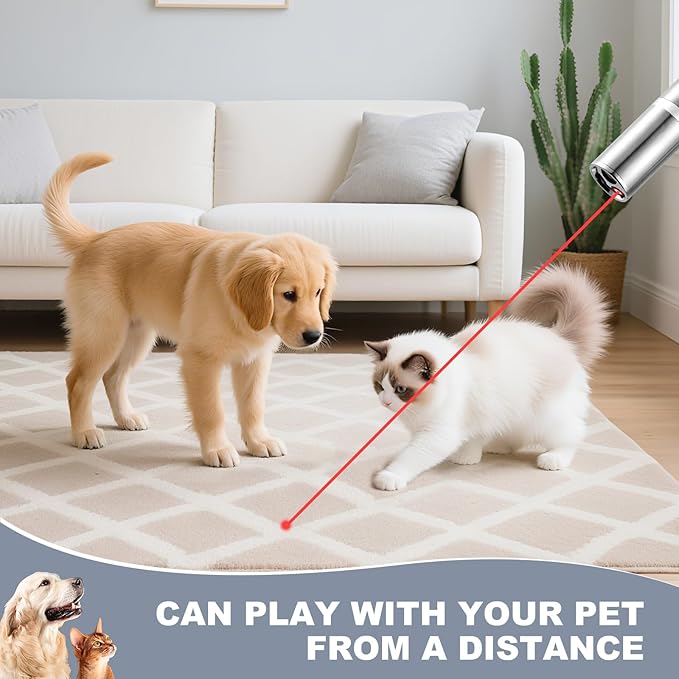 Bird Toy,Bird Laser Pointer, Cat Toys, Cat Laser Toy Pointer with 5 Adjustable Patterns, Dog Laser Toy, USB Recharge Laser, Long Range and 3 Modes Training Chaser Interactive Toy