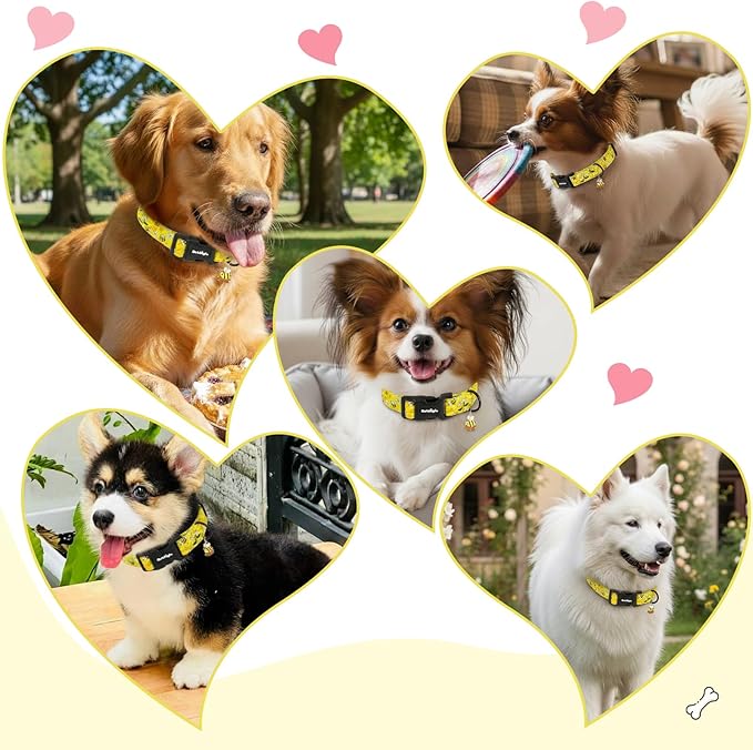Yellow Dog Collar for Medium Dogs, Spring & Summer Theme Medium Dog Collars Featuring Bee Pollinating White Flowers Pattern, Adjustable Cotton Collar for Girl Boy Dogs -M