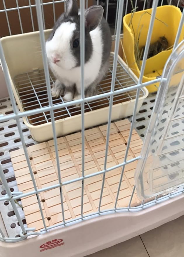 Hypeety Rabbit Scratching Pad Antiskid Edible Natural Wood Board Toy for Small Animals Bunny Chinchilla Guinea Pig Rabbit Hedgehog Hamster