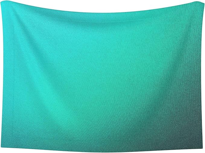 Waterproof Dog Blanket Soft Pet Blanket for Puppy Cat, Fleece Cat Throw Blankets for Furniture Bed Couch Sofa Reversible - Turquoise Light Blue