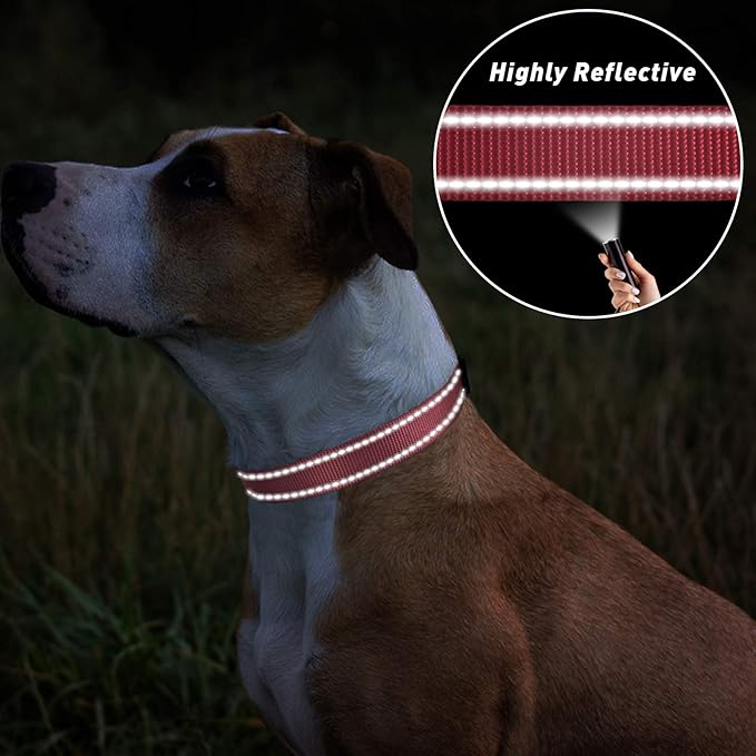 TagME Reflective Nylon Dog Collars, Adjustable Classic Pet Collar with Quick Release Buckle for Medium Dogs, Baby Pink, 1.0" Width