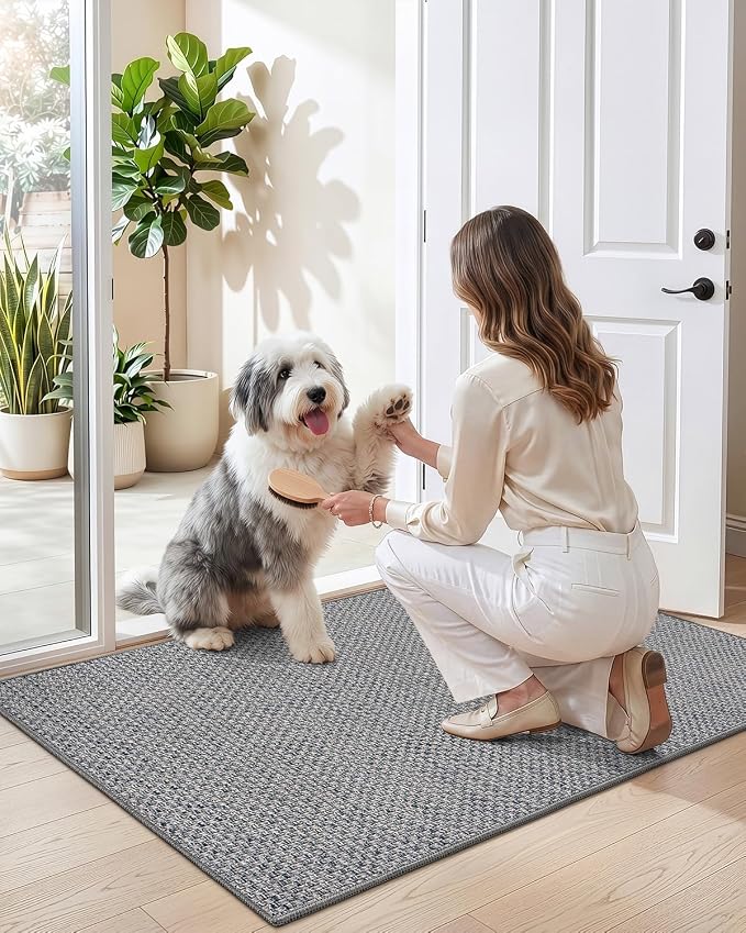 DEXI Ultra Thin Door Mat Indoor Entrance 48x72, Non Slip Rubber Backed Entryway