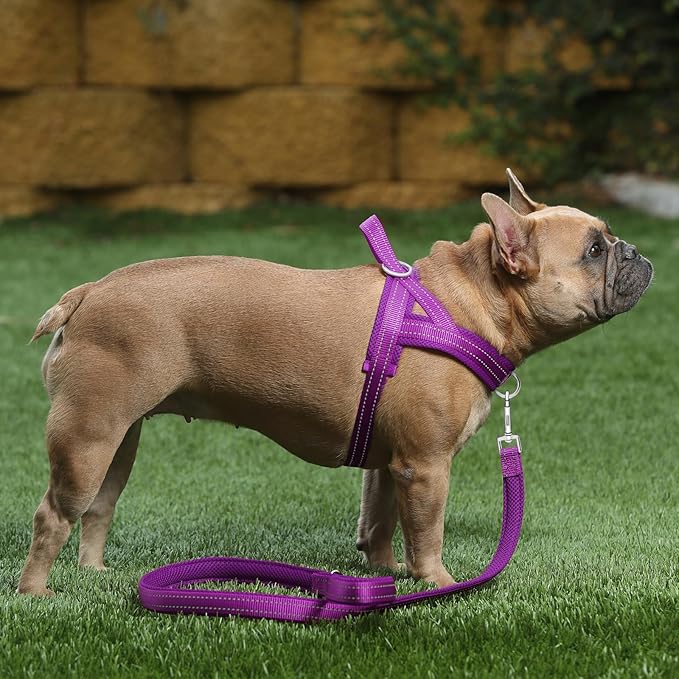 Plutus Pet No Pull Dog Harness with Breathable Mesh Padded, Adjustable Reflective Escape Proof Dog Harness, Quick Fit Dog Vest Harness for Small Medium Large Dogs(L, Purple)