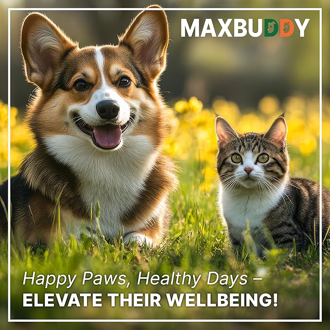 MaxBuddy Flea and Tick Oral Prevention Support & Treatment for Dogs and Cats – Natural Flea Control with Multivitamin - Supplement Drops for Small and Large Dogs – Made in The USA