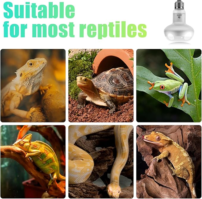 Reptile Heat Lamp 2Pack 100W, Intense Basking Spot Light Bulb with UVA, Simulate Natural Daylight Heat Bulb for Reptile, Turtle, Bearded Dragon, Lizard, Tortoise, Gecko, Snake