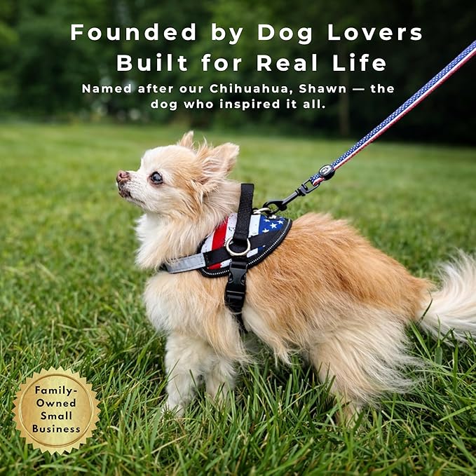 ShawnCo Essential Dog Harness, No-Pull Pet Vest with 3 Leash Clips, No Choke, Reflective, Adjustable and Padded, for Easy Walking and Training for Small, Medium and Large Dogs (Dark Camo, XL)