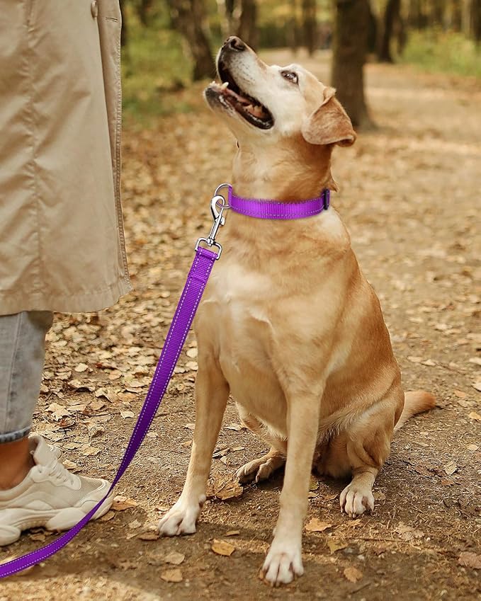 TagME Reflective Nylon Dog Collars, Adjustable Classic Pet Collar with Quick Release Buckle for Extra Large Dogs, Purple, 1¼" Width