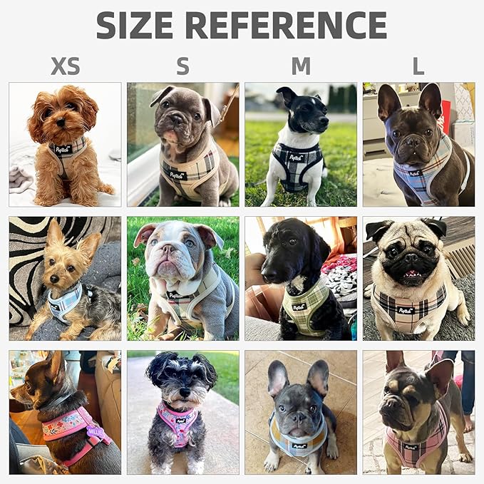 PUPTECK Soft Mesh Dog Harness and Leash Set Pet Puppy Cat Comfort Padded Vest No Pull Harnesses, Khaki, M