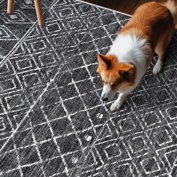 4x10 Rug for Hallway