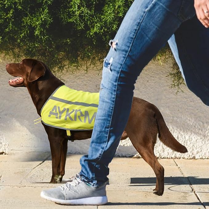 Yellow Reflective Dog Vest for XLarge Breeds, High Visibility Dog Safety Vest Harness with Removable Bell Keep Safe from Hunting, Training & Cars Accidents