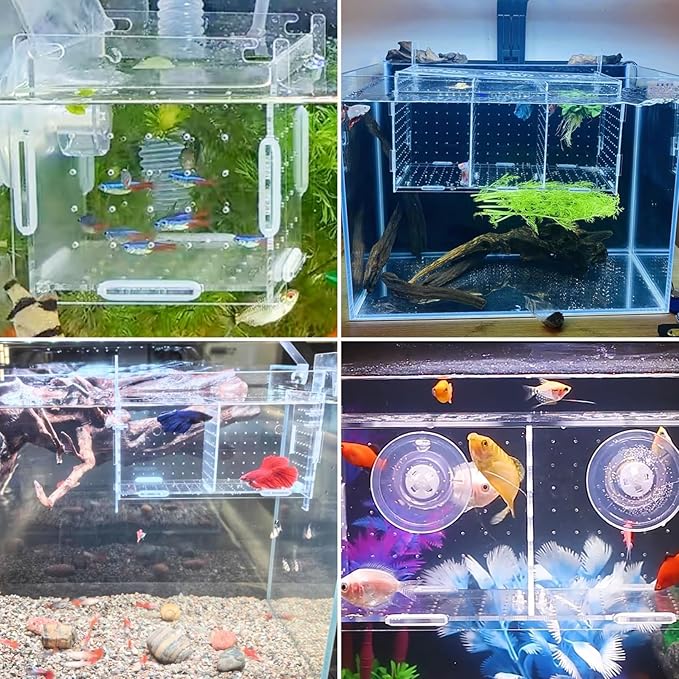 PINVNBY Acrylic Fish Breeding Box,Guppy breeding Box Acrylic Fish Isolation Box Aquarium Incubator with Suction Cups for Guppy Shrimp Small Baby Fishes(7.87 x 3.9 x 3.9 in)