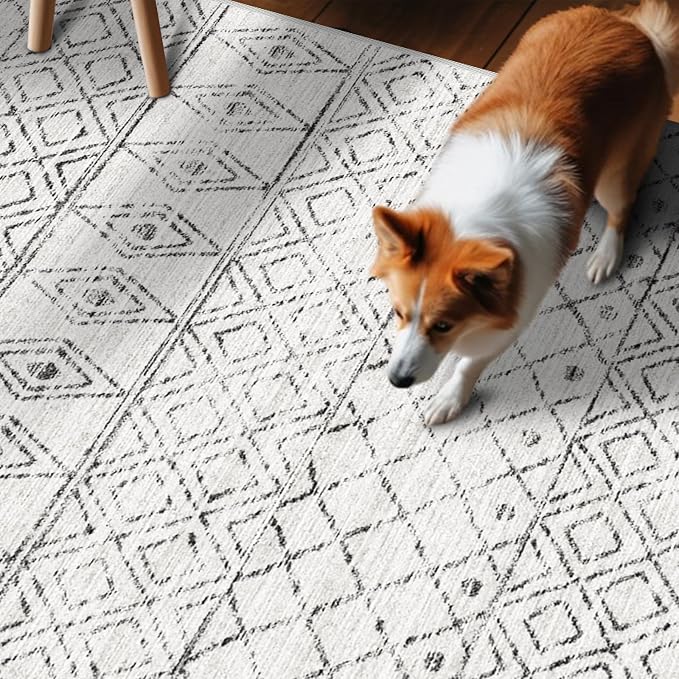 2x5 Rug Runner Moroccan
