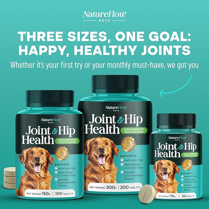 Joint Supplement for Dogs, Power of Nature Made in USA, Up to 100 Days, Unique Formula: Green-Lipped Mussel, Glucosamine, Chrondroitin, MSM, Devils Claw, Hip and Joint Supplement, All Breeds - 50 ct