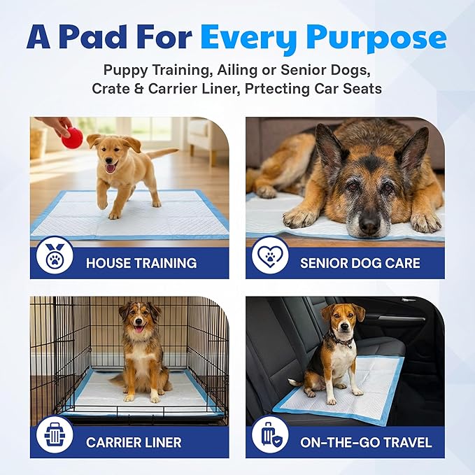 American Kennel Club Puppy Training Pads with Ultra Absorbent Quick Dry Gel – 22 x 22 Pee Pads for Dogs - 100 Count (Unscented)