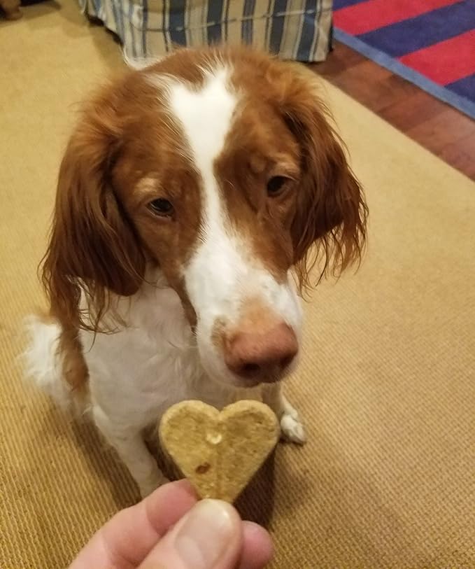Newman's Own Bacon Flavor Dog Biscuits, 10 oz Bag (Pack of 6) — Oven Baked Crunchy Training Treats, Organic Ingredients, No Wheat Corn or Soy, Premium Quality Wholesome Dog Cookies