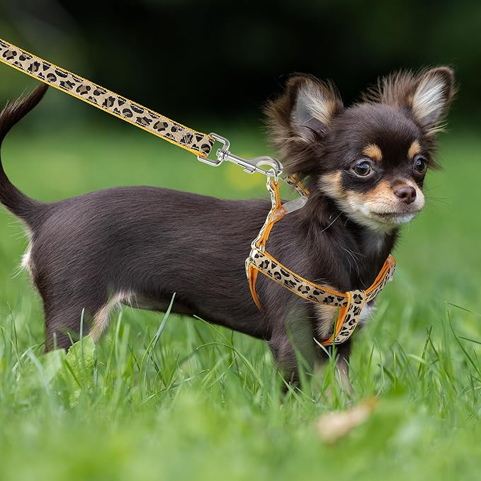 Mile High Life Leopard Dog Harness Collar Leash Set, Adjustable No Pull Dog Halter Harness for Small Breed Dogs, Easy Control for Training Walking (Yellow, S Chest 11"-18", Neck 10"-14")