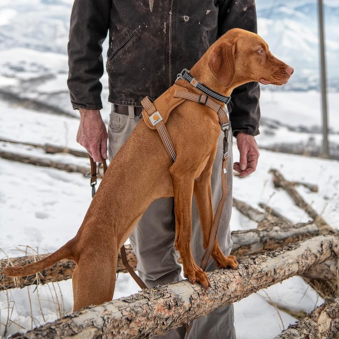 Carhartt Nylon Duck No Pull Dog Harness, Fully Adjustable Dog Harness with Quick Control Handle and Reflective Accents, Carhartt Brown, Small