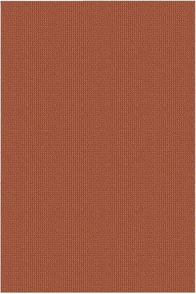 IOHOUZE Washable Area Rug 3x5 Non Slip Rubber Backed Woven Rugs