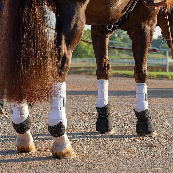 Professional's Choice 2XCOOL Sports Medicine Horse Boots | Protective & Breathable Design for Ultimate Comfort, Durability & Cooling in Active Horses | 2 Pack