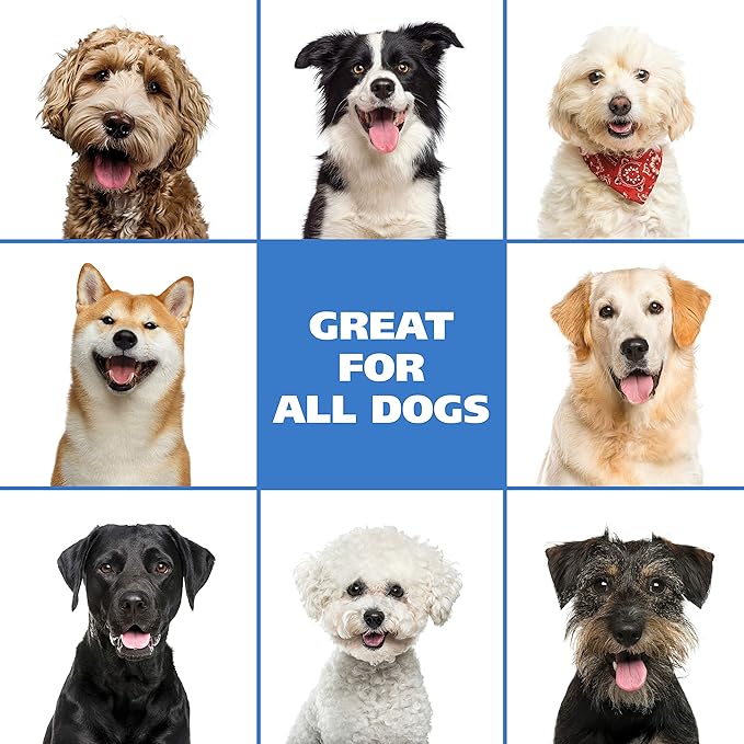 Wahl USA Pet Friendly Waterless No Rinse Shampoo for Animals - Coconut Lime Verbena Scent – Oatmeal Formula Cleans, Conditions, Detangles & Moisturizes Dogs Fur – 7.1 Oz - Model 820015A