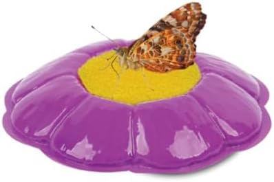 Insect Lore Butterfly Garden with Live Cup of Caterpillars | English and Spanish STEM Activity Journals | 5 Painted Lady Butterfly Baby Caterpillars and Mesh Habitat