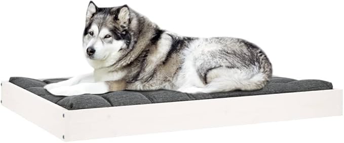 Medium Wooden Dog Bed, Elevated White Solid Pine Wood Pet Cot for Small to Medium Dogs, Modern Minimalist Indoor Pet Furniture, Sturdy Rectangular Rest Station