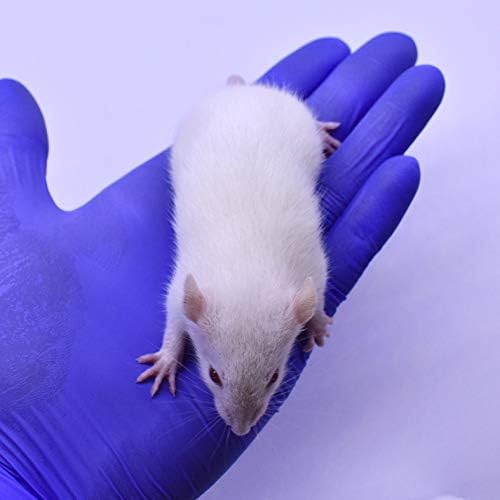 MiceDirect Frozen Rat Combo Pack of Weanling & Small Feeder Rats Weanlings & Rat Smalls Feeder Food for Snakes and Reptiles (40)