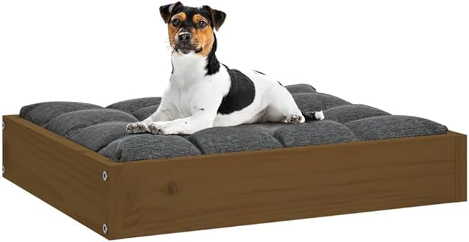 Solid Pine Wood Dog Bed Honey Brown 20.3 x 17.3 x 3.5 Inches Cozy Resting Space for Small Breed Pets Durable Frame Minimalist Design Indoor Use