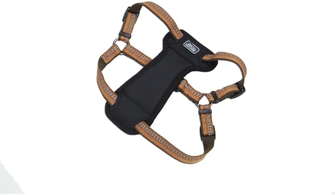 Coastal Pet K9 Explorer Reflective Adjustable Padded Dog Harness - Plush Chest Pad for Comfort - No-Pull Dog Harness for Small and Large Dogs - Campfire Orange - 1" x 20"-30", Medium