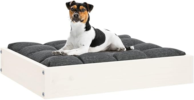 Small Dog Bed, Solid Pine Wood Elevated Pet Bed Frame, Rectangular Minimalist Raised Bed for Small Dogs, Indoor Pet Furniture, White