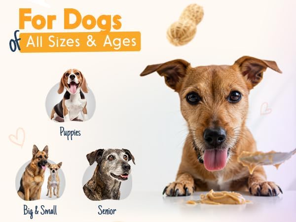 Pumpkin Pup + Ruff Ruff Raw + Barkin Banana Buddy BUDDER, 100% Natural Dog Peanut Butter, Healthy Dog Treats - Made in USA (Set of 3)