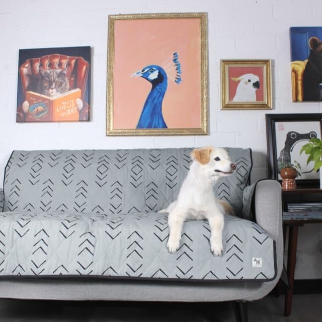 Molly Mutt 2-Seater Non-Slip Furniture Protector and Couch Cover for Dogs & Pets – Durable 100% Cotton Canvas and Non-Toxic Materials - 55” Wide x 78” Long