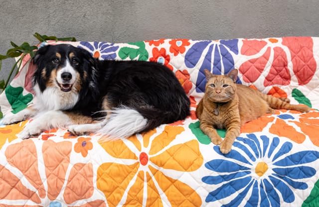Waterproof Blanket, 60”x70” - Large Couch Cover for Dogs and Pets - Ideal for Picnics, Outdoor, Camping, Beach and More - Large, Washable Protector